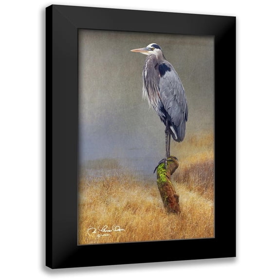 Vest, Chris 12x18 Black Modern Framed Museum Art Print Titled - In the Water I