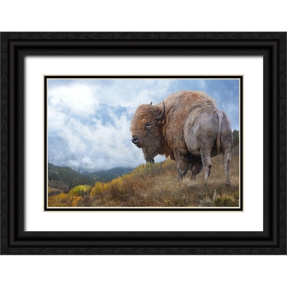 Vest, Chris 14x11 Black Ornate Wood Framed with Double Matting Museum Art Print Titled - Golden Bison