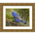 thumbnail image 1 of Vest, Chris 14x12 Gold Ornate Wood Framed with Double Matting Museum Art Print Titled - On the Branch II, 1 of 4
