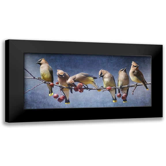 Vest, Chris 14x9 Black Modern Framed Museum Art Print Titled - Waxwing Tableau