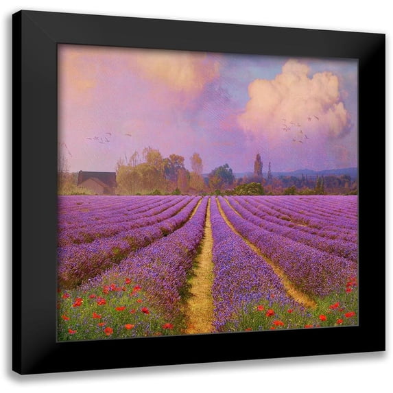Vest, Chris 15x15 Black Modern Framed Museum Art Print Titled - Lavender Fields I