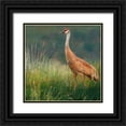 thumbnail image 1 of Vest, Chris 15x15 Black Ornate Wood Framed with Double Matting Museum Art Print Titled - In the Water II, 1 of 4