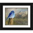 thumbnail image 1 of Vest, Chris 18x15 Black Ornate Wood Framed with Double Matting Museum Art Print Titled - Mountain Blue Bird, 1 of 4