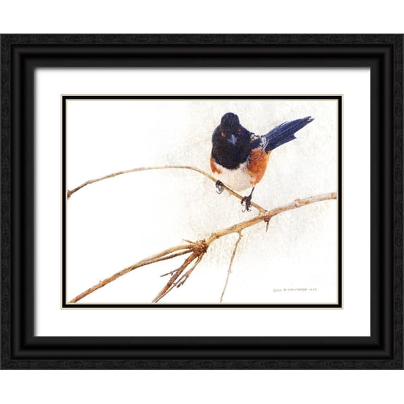Vest, Chris 18x15 Black Ornate Wood Framed with Double Matting Museum Art Print Titled - On the Branch IV