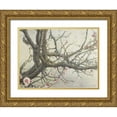 thumbnail image 1 of Vest, Chris 18x15 Gold Ornate Wood Framed with Double Matting Museum Art Print Titled - Apricot Creeper, 1 of 4