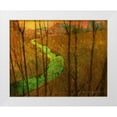 thumbnail image 1 of Vest, Chris 18x15 White Modern Wood Framed Museum Art Print Titled - Woodblock Stream I, 1 of 4