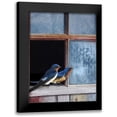thumbnail image 1 of Vest, Chris 19x24 Black Modern Framed Museum Art Print Titled - Barn Swallows Window, 1 of 5