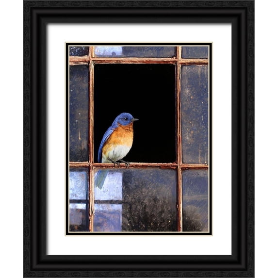 Vest, Chris 19x24 Black Ornate Wood Framed with Double Matting Museum Art Print Titled - Bluebird Window