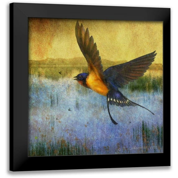 Vest, Chris 20x20 Black Modern Framed Museum Art Print Titled - Barnswallow
