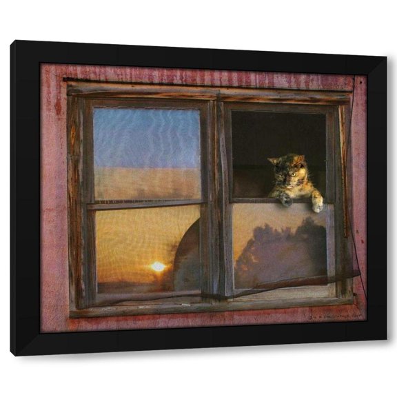 Chris Vest 23x20 Black Modern Wood Framed Wall Art Titled - Kitten Window