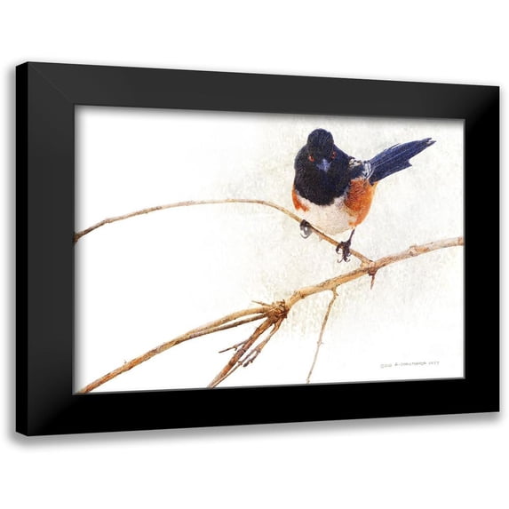 Vest, Chris 24x19 Black Modern Framed Museum Art Print Titled - On the Branch IV