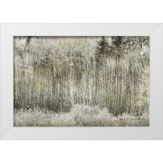 Vest, Christopher 14x11 White Modern Wood Framed Museum Art Print Titled - Aspen Willow leaves Abstract