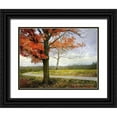 thumbnail image 1 of Vest, Christopher 14x12 Black Ornate Wood Framed with Double Matting Museum Art Print Titled - Overland Park Trees, 1 of 4
