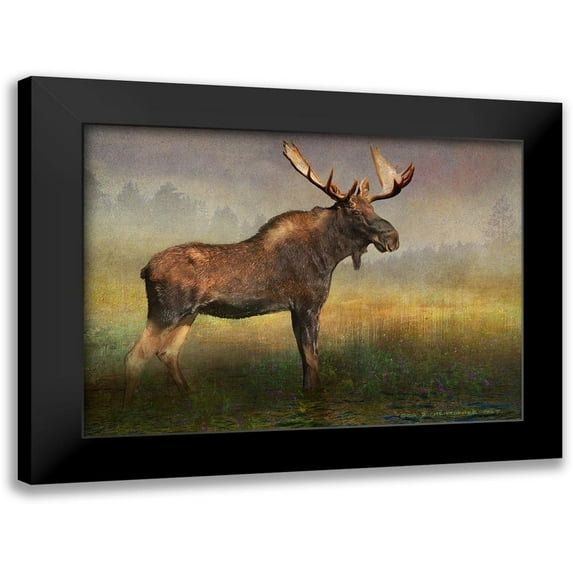 Vest, Christopher 18x14 Black Modern Framed Museum Art Print Titled - Moose in Fog and Flowers