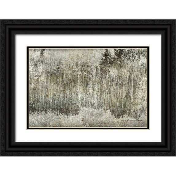 Vest, Christopher 24x17 Black Ornate Wood Framed with Double Matting Museum Art Print Titled - Aspen Willow leaves Abstract