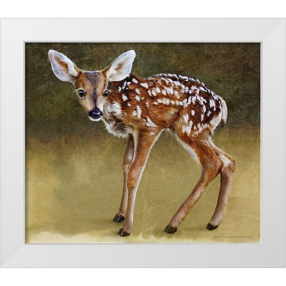 Vest, Christopher 30x26 White Modern Wood Framed Museum Art Print Titled - Baby Deer Standing