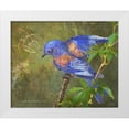 thumbnail image 1 of Vest, Christopher 31x26 White Modern Wood Framed Museum Art Print Titled - Virginia Creeper Bluebird, 1 of 4