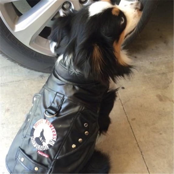 Vest Harness Moon Howlers - Small