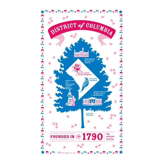 Vestiges District Of Columbia Souvenir Tea Towel 21.5" x 32" Eco-Friendly