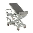 thumbnail image 1 of Vestil Manufacturing CART-1000-LT-PSS 22 x 33.6 in. Partially Stainless Steel Lift & Tilt Cart, 1000 lbs, 1 of 1