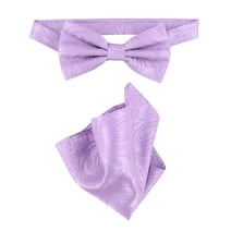 Vesuvio Napoli BowTie Lavender Purple Color Paisley Mens Bow Tie & Handkerchief