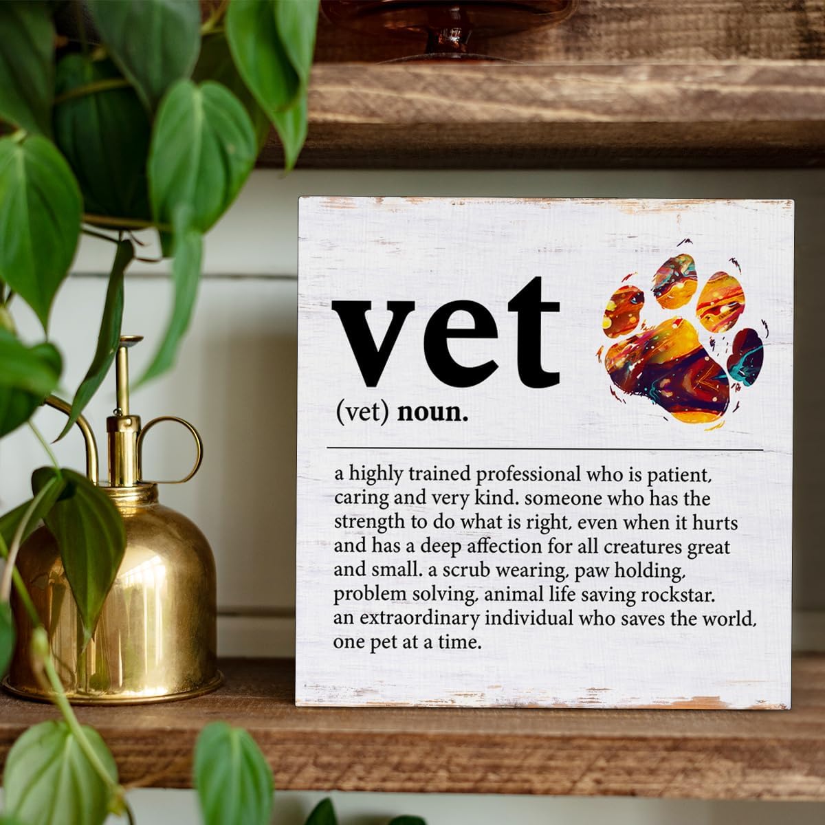 Vet Appreciation Gifts Vet Definition Wood Sign Desk Decor Table