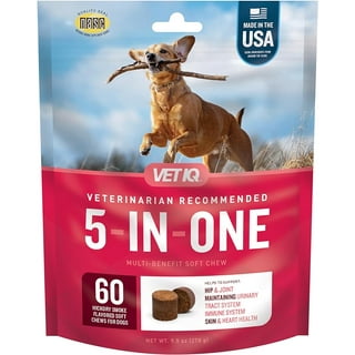 Dogs Uti