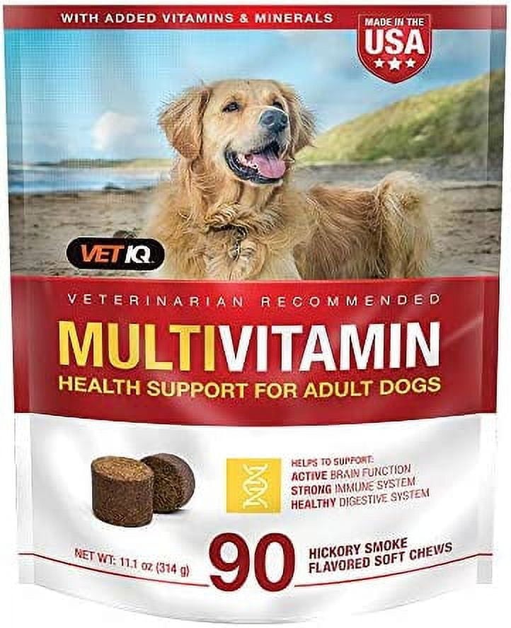 Vet recommended 2024 vitamins for dogs