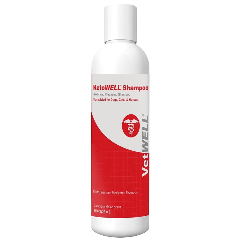 VetWELL Chlorhexidine Shampoo for Dogs Cats Medicated Dog Shampoo for Skin Infections Hot Spots Acne 8 oz 8 Ounce Walmart