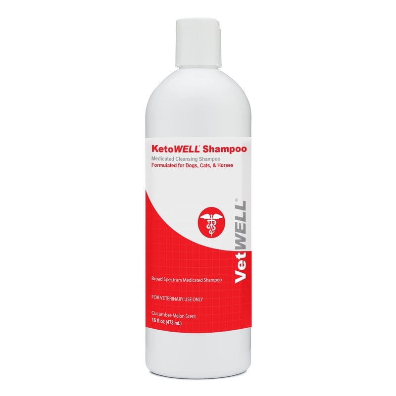 VetWELL Chlorhexidine Shampoo for Dogs & Cats Medicated Dog Shampoo
