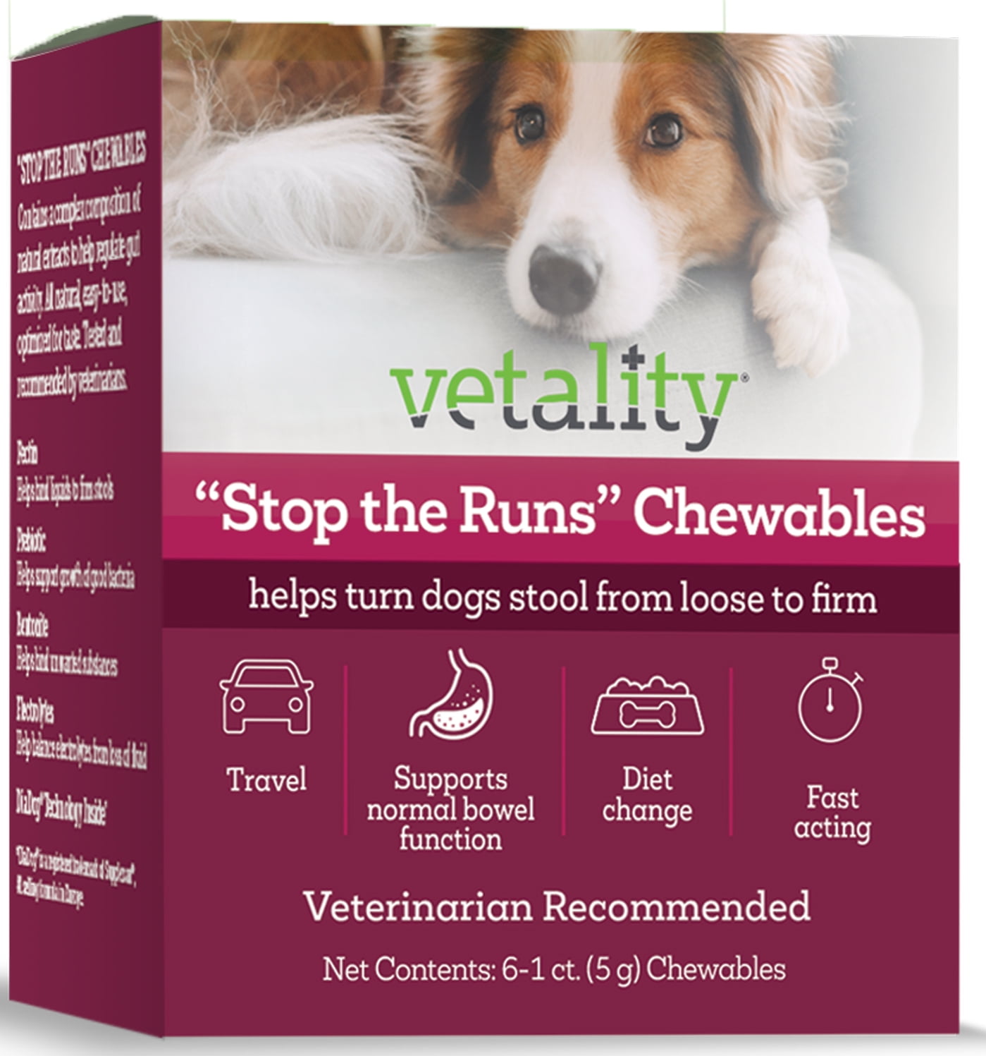 Vetality Stop The Runs, Anti-Diarrhea Chewable Tablets for Dogs, 6 Count.  Fast Acting and Supports Normal Bowel Function for Dogs.  Chicken Apple Flavor.