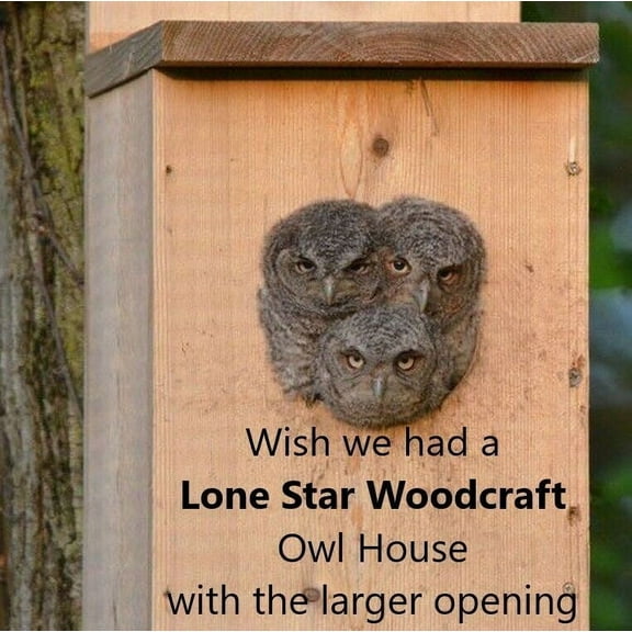 Veteran made Owl Nesting Box - Screech Owl House
