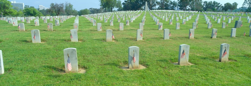 Veterans National Cemetery on Veterans Day Los Angeles California Canvas Art - Panoramic Images (36 x 12)