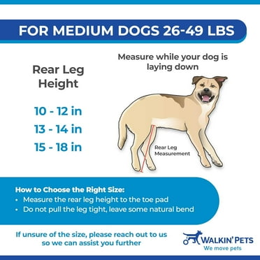 Veterinarian-Approved Dog Wheelchair for Medium Dogs (26-49 lbs) - Walkin’ Wheels for Hind Leg Support