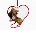 thumbnail image 1 of Veterinarian Christmas Ornament, 1 of 2