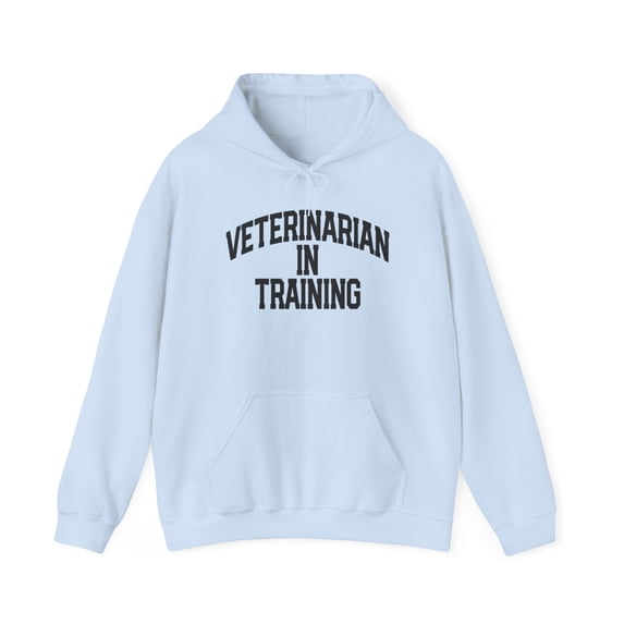 Veterinarian Vet Future School Student Hoodie, Gifts, Hooded Sweatshirt