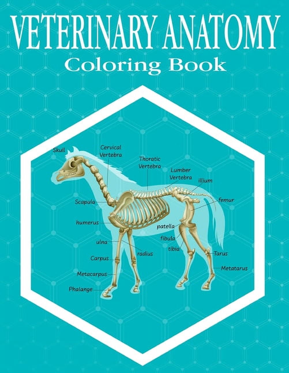 Veterinary Anatomy Coloring Book 37+ Incredibly Highly Detailed