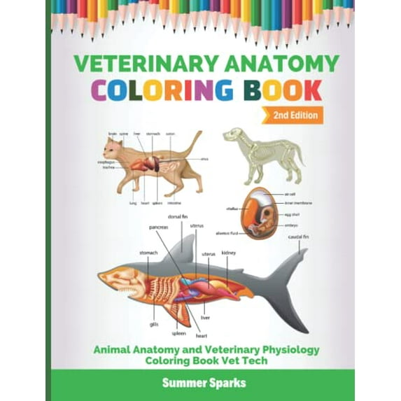 Pre-Owned Veterinary Anatomy Coloring Book: Animal Anatomy and Veterinary Physiology Coloring Book Vet Tech Paperback