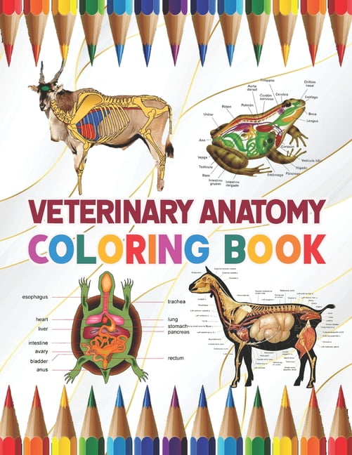 Veterinary Anatomy Coloring Book: A Collection of Fun and Easy Veterinary Anatomy Coloring Pages for Kids, Toddlers and Preschool. Handbook of Veterinary Anesthesia. Dog Cat Horse Frog Bird Anatomy Co