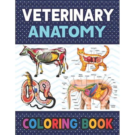 Veterinary Anatomy Coloring Book: Fun and Easy Veterinary Anatomy Coloring Book for Kids.Animal Anatomy and Veterinary Coloring Book.Dog Cat Horse Frog Bird Anatomy Coloring book.vet tech coloring boo