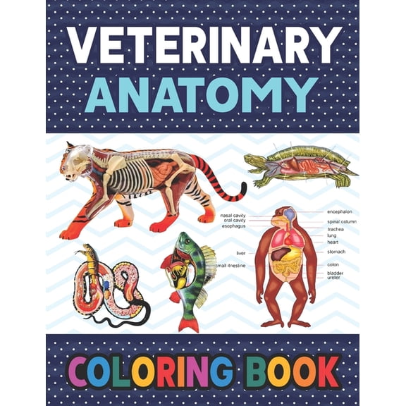 Veterinary Anatomy Coloring Book: Learn The Veterinary Anatomy With Fun & Easy. Animal Anatomy and Veterinary Physiology Coloring Book. Dog Cat Horse Frog Bird Anatomy Coloring book. Vet tech coloring