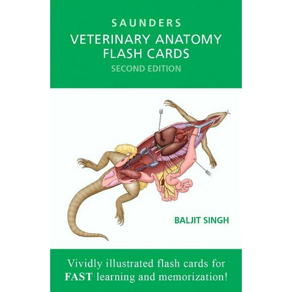 Veterinary Anatomy Flash Cards (Other)