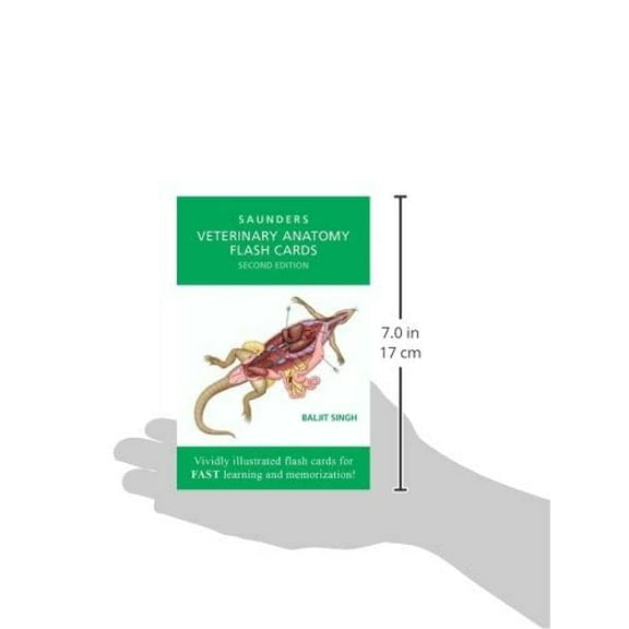 Pre-Owned Veterinary Anatomy Flash Cards