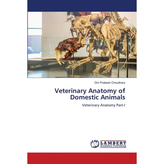 Veterinary Anatomy of Domestic Animals, (Paperback)