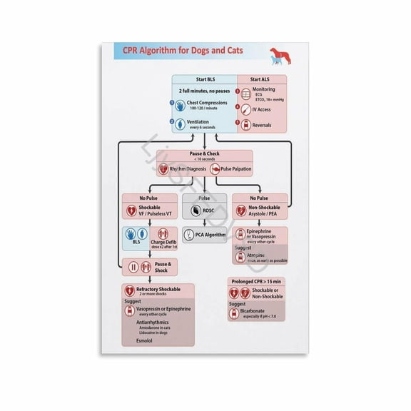 Veterinary CPR Algorithm Chart Poster Vet Emergency First Aid Wall Art Canvas Painting for Living Room Bedroom Decor poster