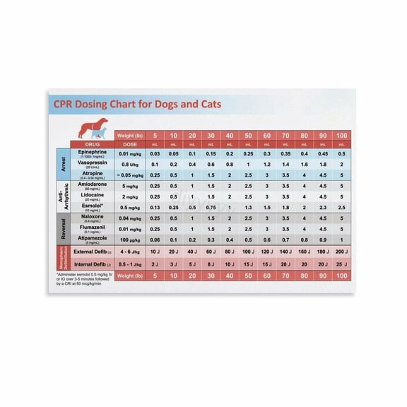 Veterinary CPR Emergency Drugs Dose Chart Poster 1 Canvas for Living Room Bedroom Decor poster
