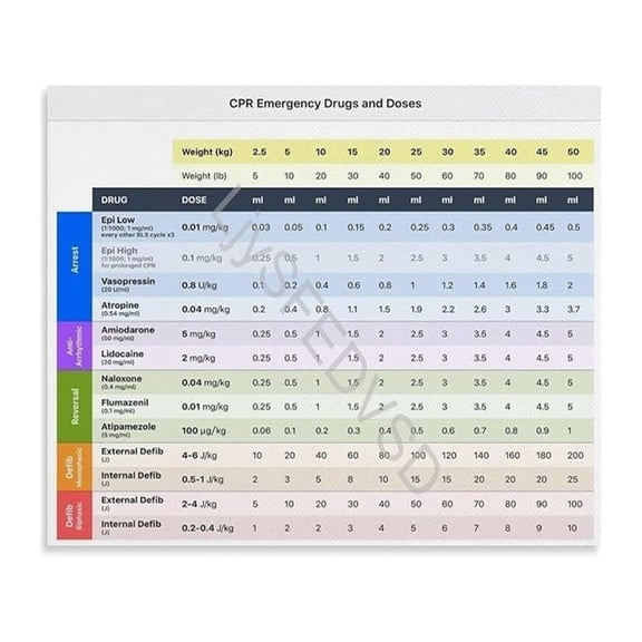 Veterinary CPR Emergency Drugs Poster Dosage Chart Small Animal Life Saving Skills Reference for Hospital Room