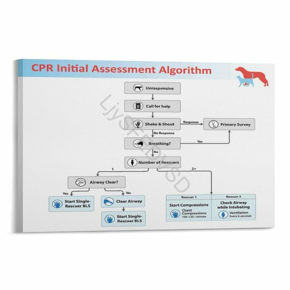 Veterinary CPR Initial Assessment Algorithm Chart Poster Pet First Aid Wall Art Canvas Painting for Living Room Bedroom Decor 36x24inch(90x60cm) Unframe-style