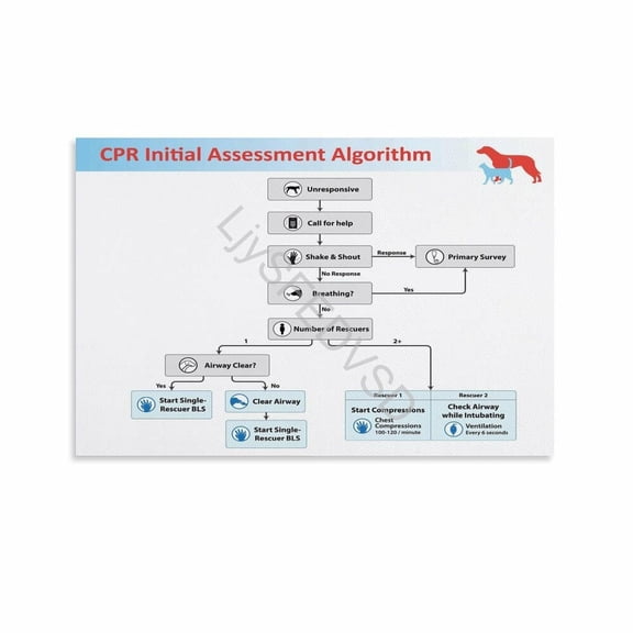 Veterinary CPR Initial Assessment Algorithm Chart Poster Pet First Aid Wall Art Canvas Painting for Living Room Bedroom Decor 36x24inch(90x60cm) Unframe-style
