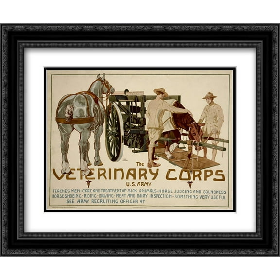 Veterinary Corps. U.S. Army 2x Matted 22x16 Black Ornate Framed Art Print by Schreck